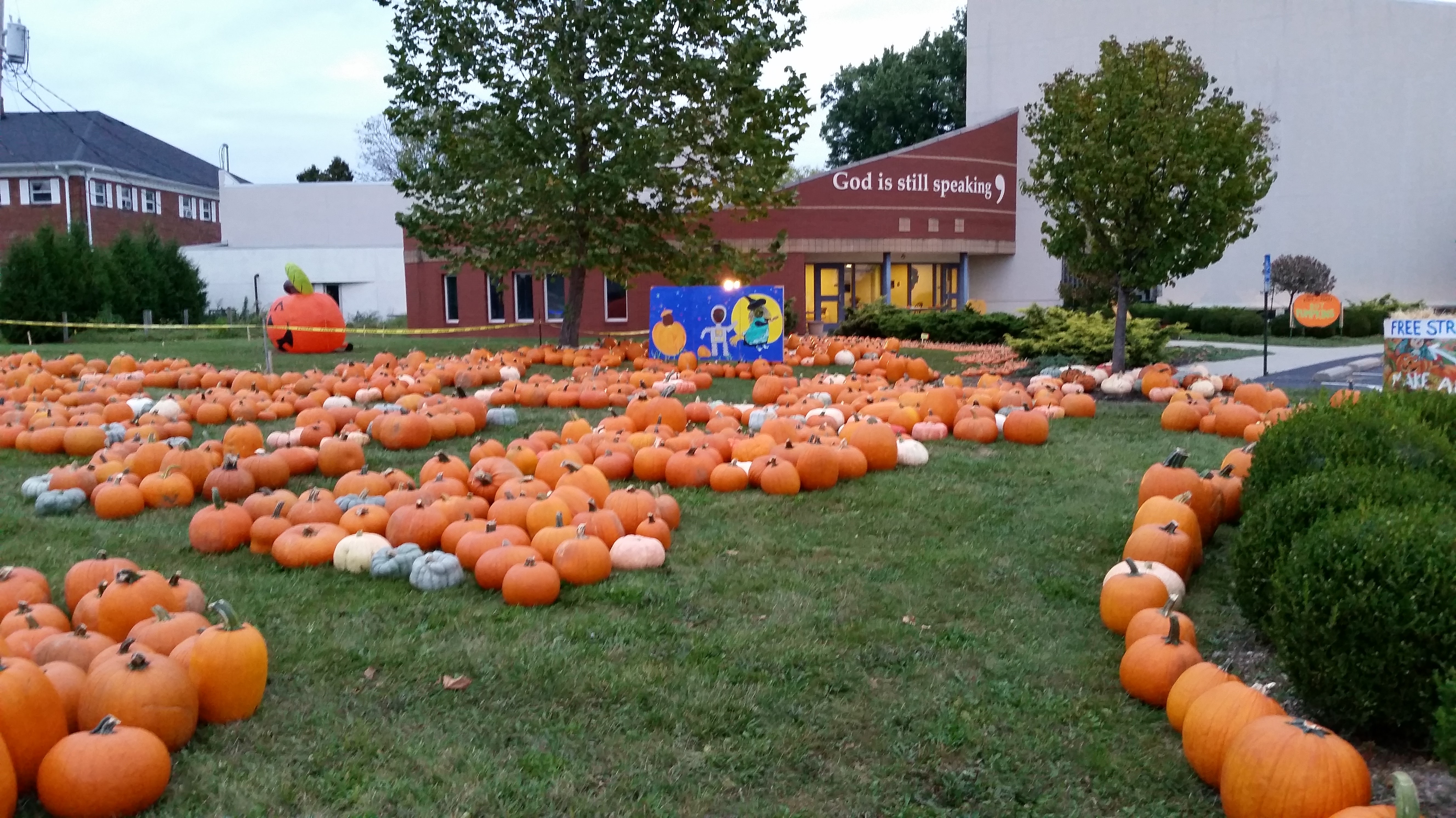 Pumpkin Sale!