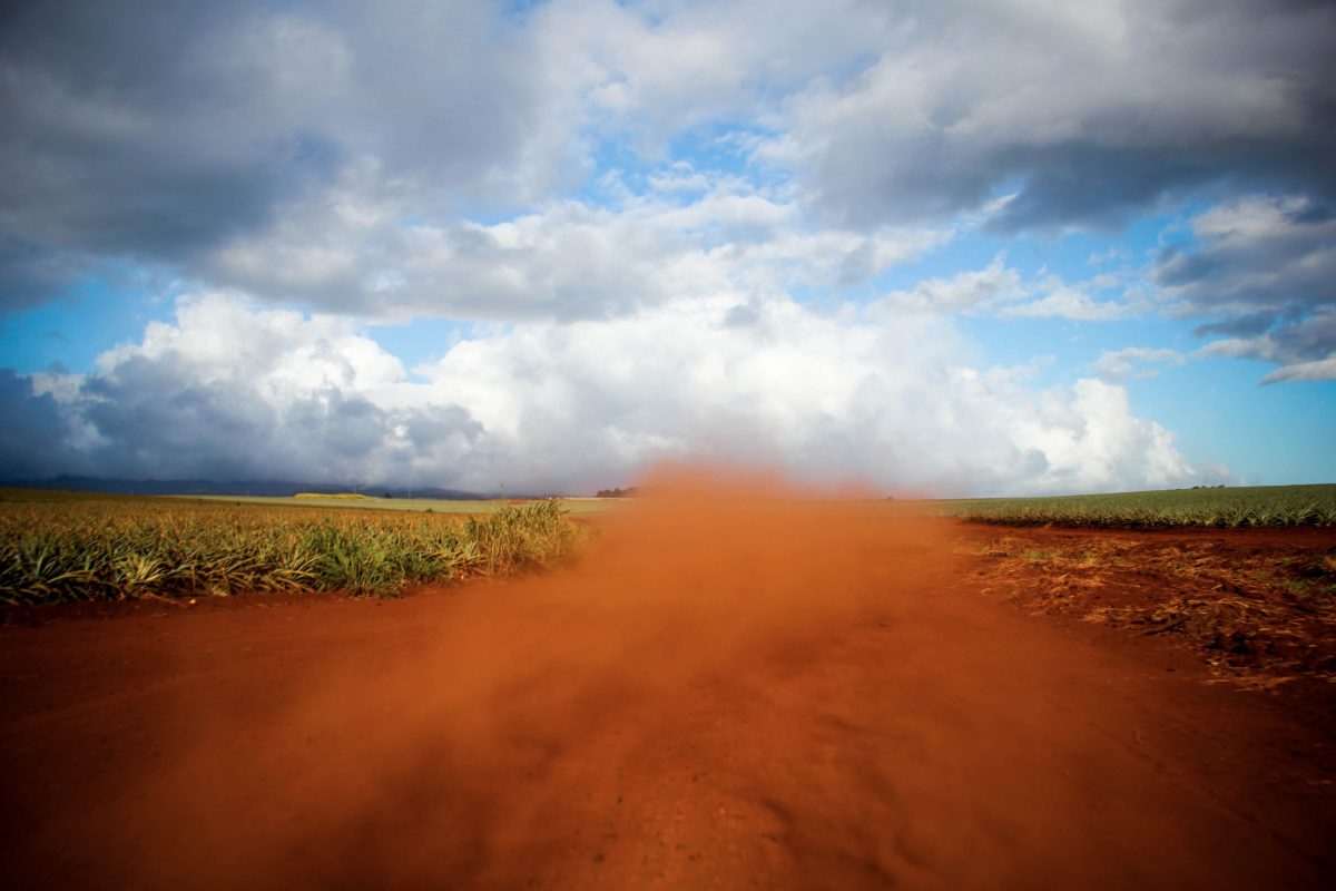 Remember That You Are Dust …